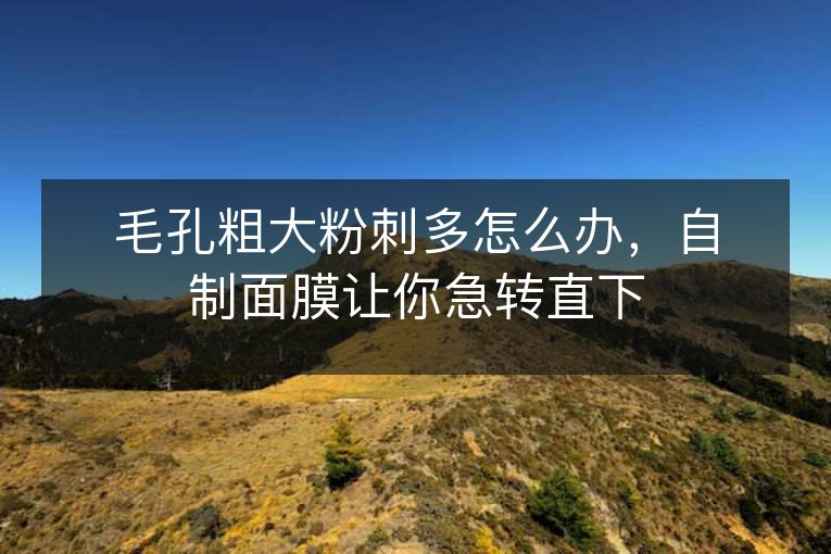 毛孔粗大粉刺多怎么办,自制面膜让你急转直下 毛孔粗大粉刺多怎么办,自制面膜让你急转直下