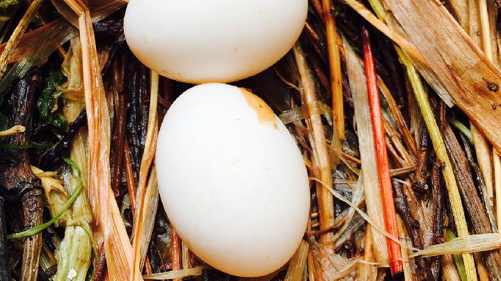 皮蛋的功效与作用